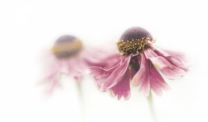 不倫が終わった後の人生をサポートする方法は？