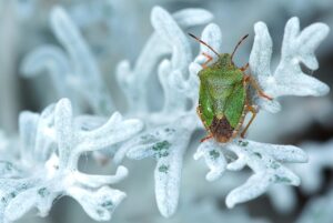 不倫のリスクを理解するために知っておくべき重要なポイントは？