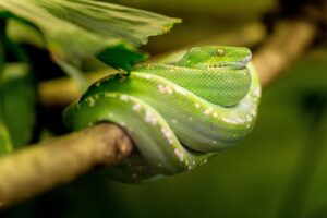 不倫の清算を円滑に進めるためのステップは？
