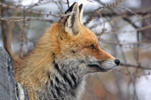 不倫をやめたいと感じる心理にはどんな理由があるの？