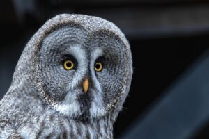 不倫を終わらせるにはどのような方法があるのか？