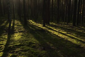 不倫がバレそうな時にどう別れるべきか？