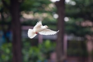 不倫の別れで落ち込む時に試すべき立ち直り法は？