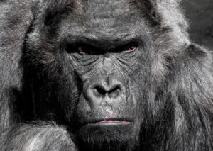 不倫の別れに伴うトラブルを解決する方法は？