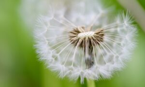 不倫の別れを切り出せない時の対処法は？