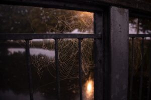 不倫の待ち伏せが怖いと感じた時の相談先は？