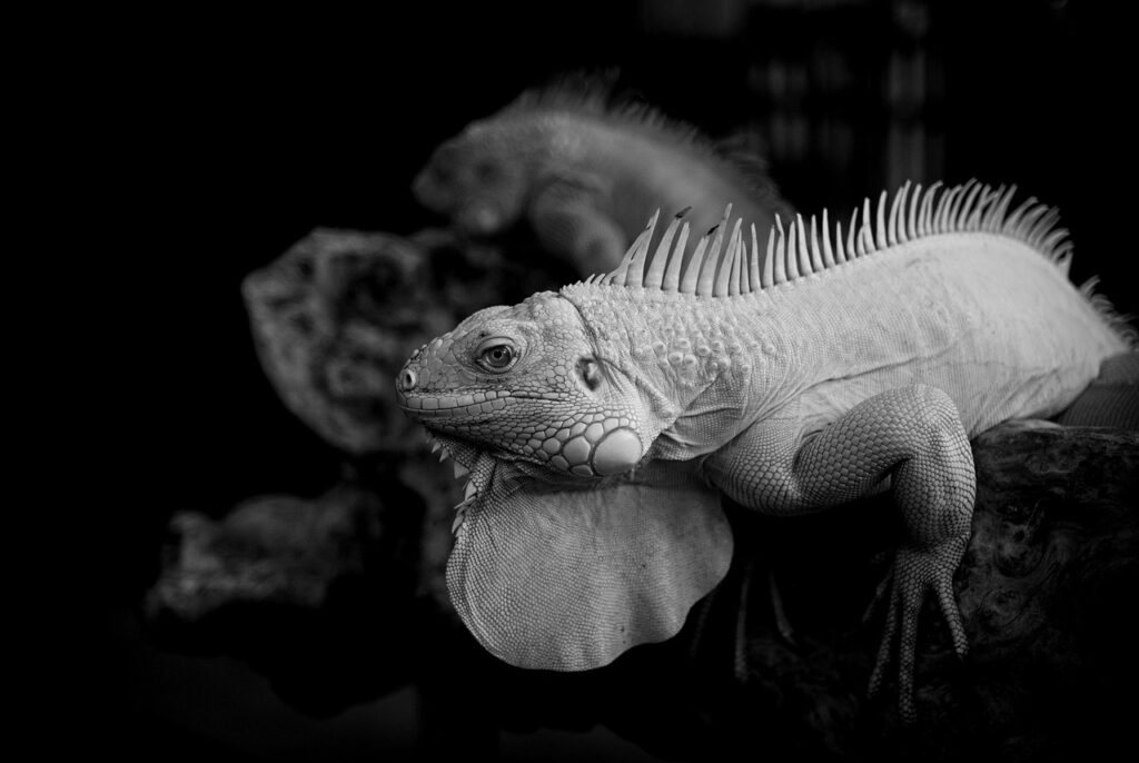 不倫の悩みを解決するためにメンタルクリニックに行くべきか？