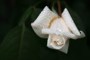 不倫を忘れるための平均的な期間はどのくらい？