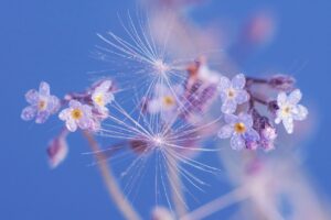 不倫相手を忘れられない執着に対する効果的な対策は？